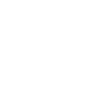 35+ Years of Industry Experience